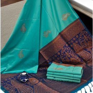 Exclusive Kanchipuram Silk Sarees (Meena work contrast blouse)